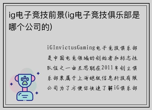 ig电子竞技前景(ig电子竞技俱乐部是哪个公司的)